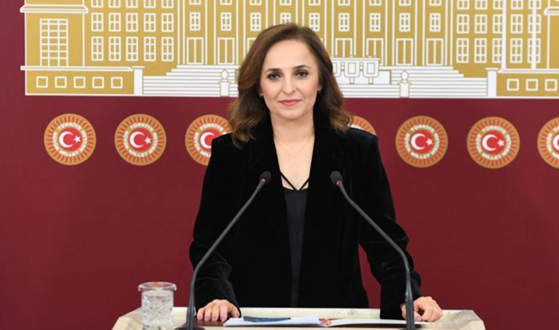 Ayşegül Doğan: Gündemin Yeni