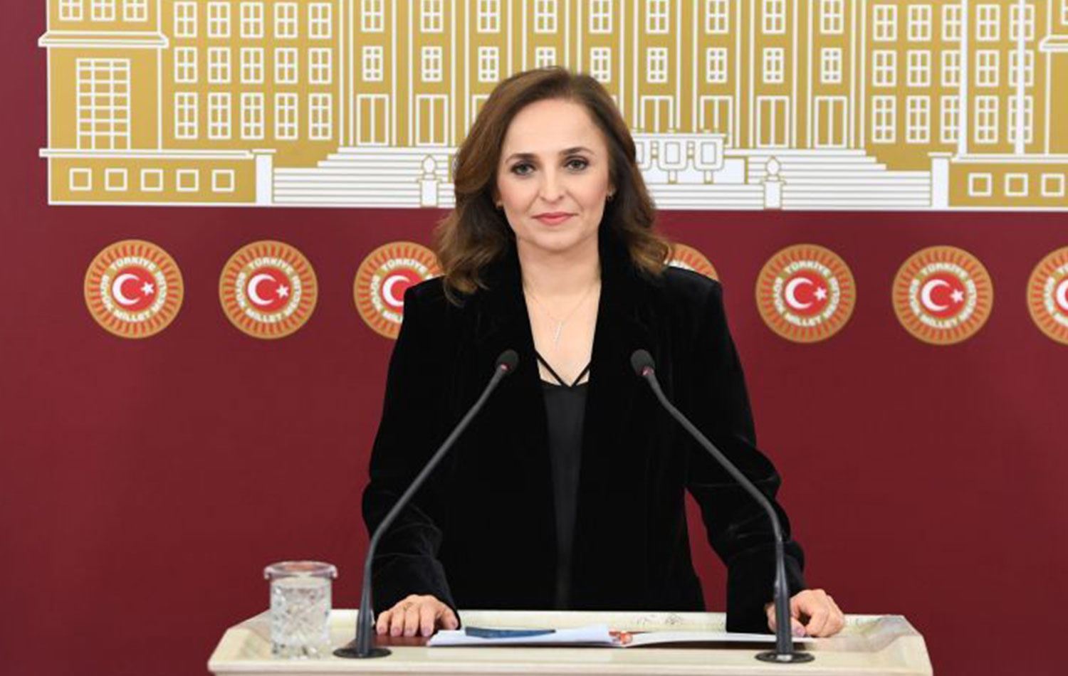 Ayşegül Doğan kimdir?