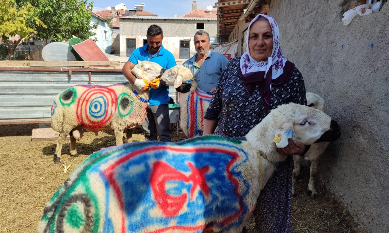 Sarıoğlan’da süslenip boyanan koçlar sürüye katıldı